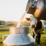 Dairy seoni