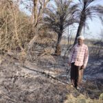 mungwani-kala-fire-stubble-burning-50-fields-damage-seoni-news