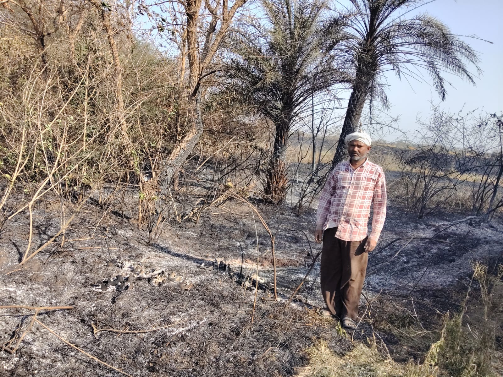 सिवनी: मुंगवानी कला नरवाई जलाने से 50 खेत जले, लाखों का नुकसान, आरोपी पर FIR दर्ज